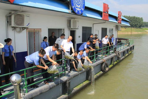 湖北省检察机关 十年禁捕护航长江生态，固体废物治理助力大保护