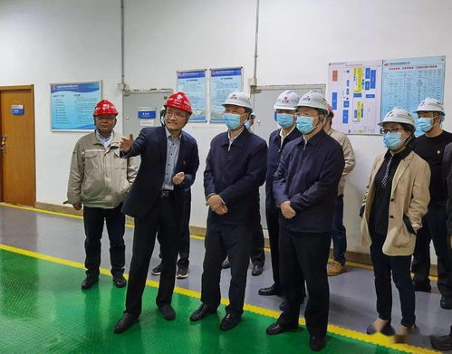 省人大常委会赴我区调研固体废物污染治理工作