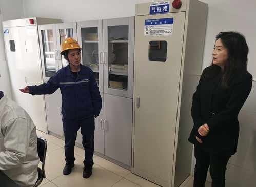 刘丽带队检查我市《中华人民共和国固体废物污染环境防治法》落实情况